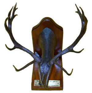 Allan Schwindt • Boone & Crockett #1