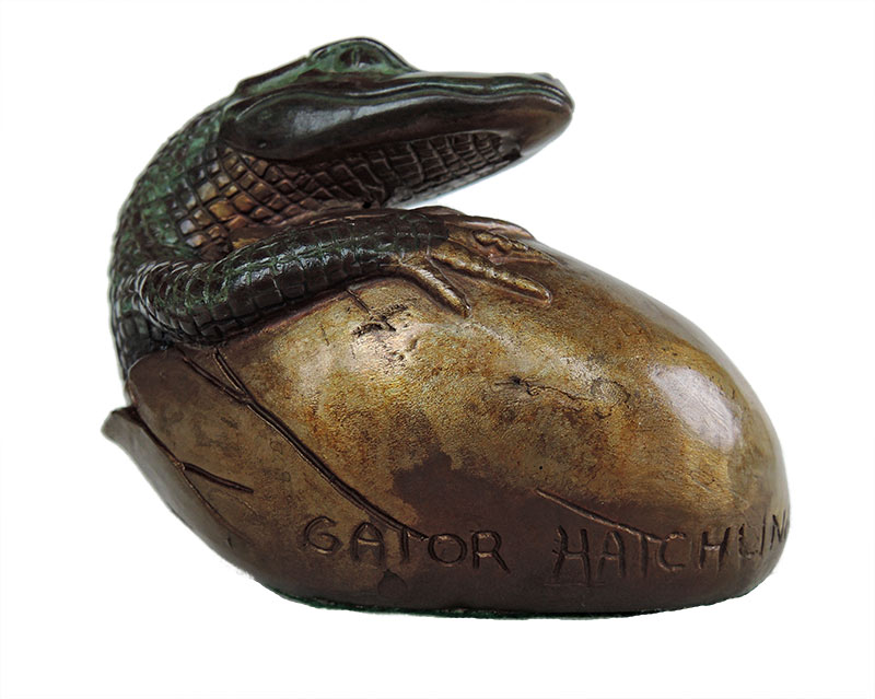Bill Hunt • Gator Hatchling