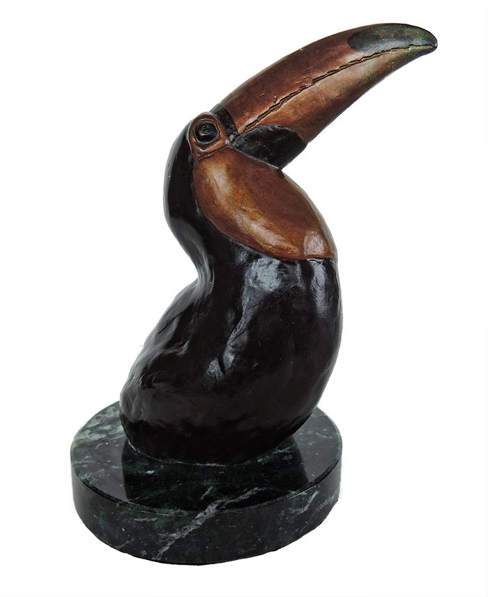 Bill Hunt • Toco Toucan