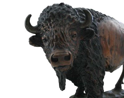 Carl Wagner • Prize Bull