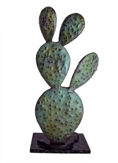 Ed Swena • Cactus Prickly Pear