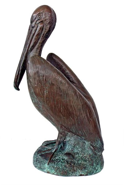 James Siebert • Pelican