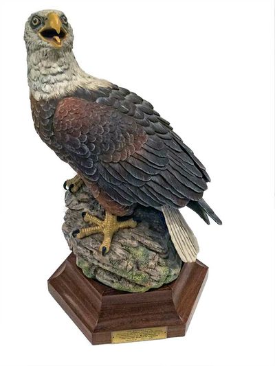 John Aynsley • Bald Eagle
