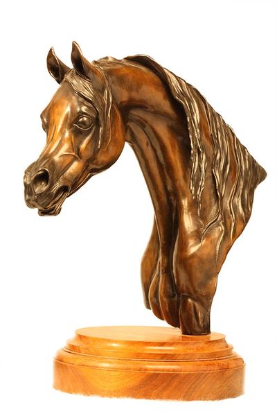 Calling His Mare • Judy Nordquist