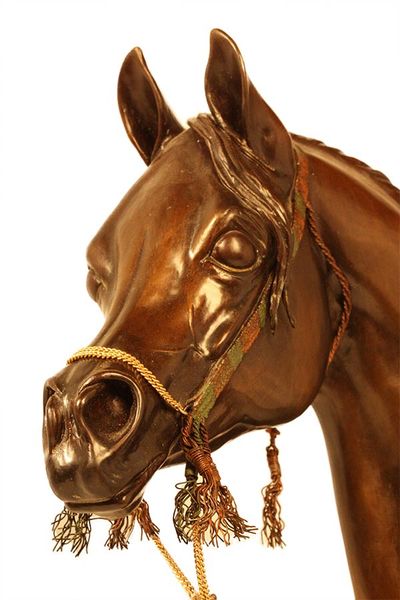 The Listening Mare • Judy Nordquist
