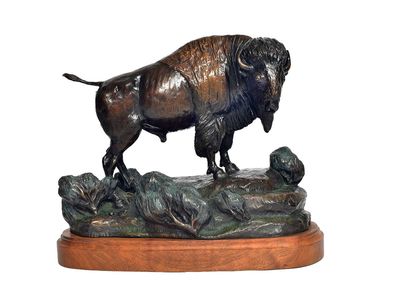 Lee Lester • Bison Watch
