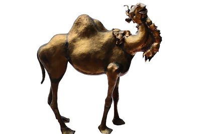 Leonard DeLonga • Camel