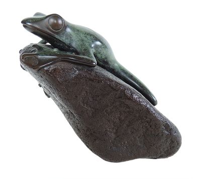 Phil Vanderlei • Frog on Rock