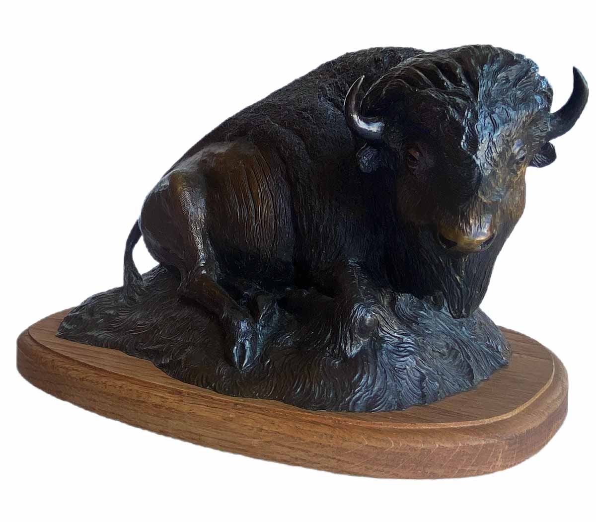 R. Rousu • Bison Lazing on the Ground