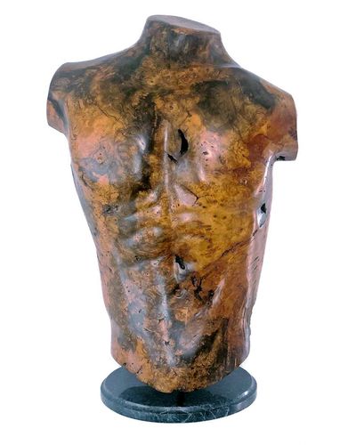 Sig de Tonancour • Male torso