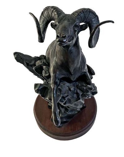 Stephen LeBlanc • Ram